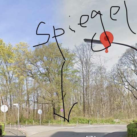 Bild zu gemeldetem Anliegen vom *2025-10-17 13:57:42