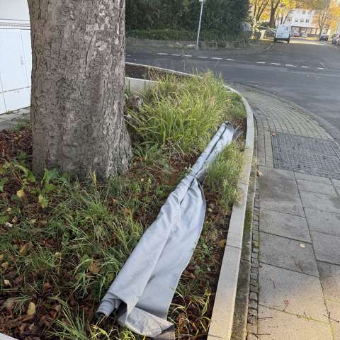 Bild zu gemeldetem Anliegen vom *2025-10-30 15:30:42