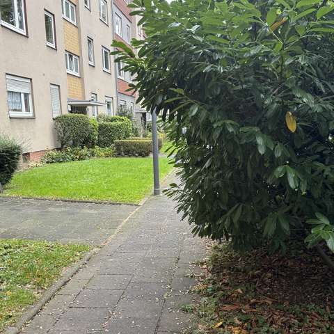 Bild zu gemeldetem Anliegen vom *2025-10-17 12:15:03