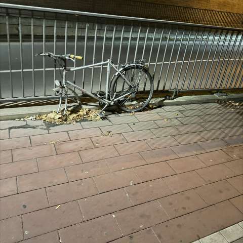 Bild zu gemeldetem Anliegen vom *2025-10-31 06:27:00