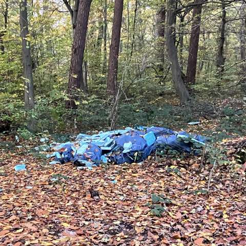 Bild zu gemeldetem Anliegen vom *2025-10-30 21:35:14