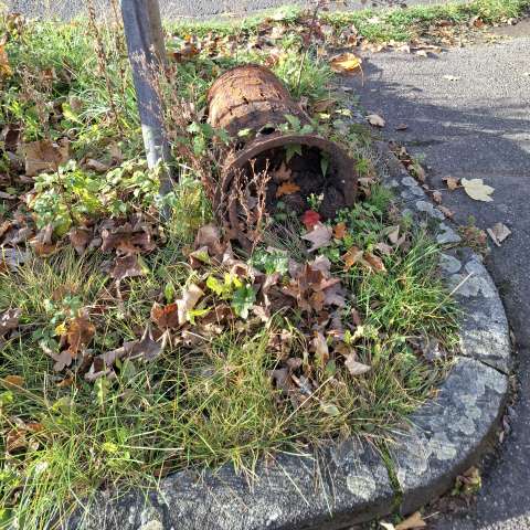 Bild zu gemeldetem Anliegen vom *2025-11-05 15:45:44