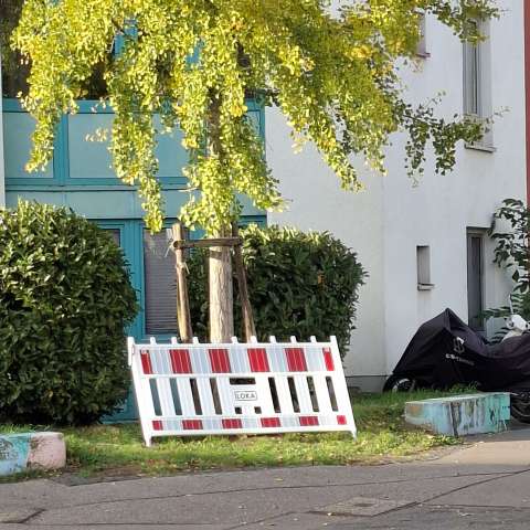 Bild zu gemeldetem Anliegen vom *2025-11-05 15:10:54