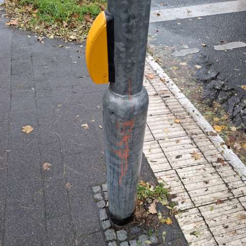 Bild zu gemeldetem Anliegen vom *2025-11-19 14:31:07