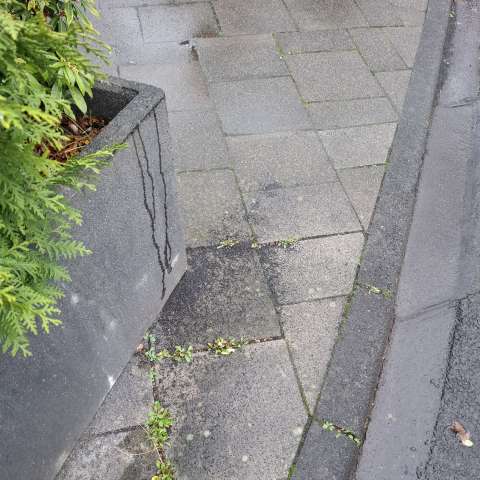 Bild zu gemeldetem Anliegen vom *2025-11-19 14:56:18