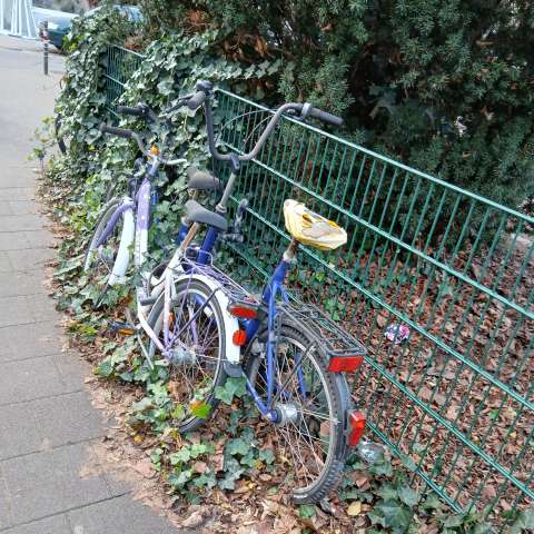 Bild zu gemeldetem Anliegen vom *2025-12-19 20:51:14