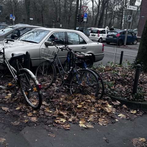 Bild zu gemeldetem Anliegen vom *2025-12-15 11:51:54