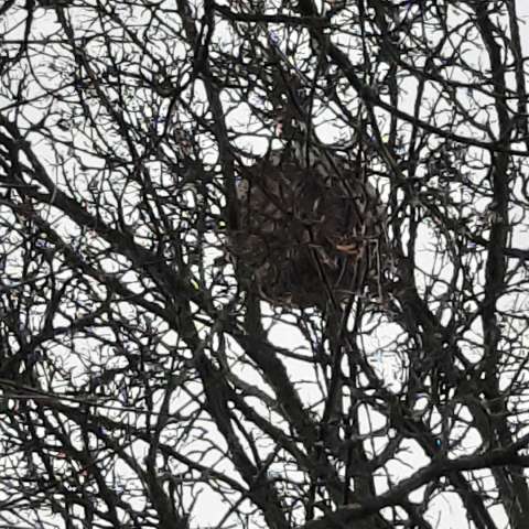 Bild zu gemeldetem Anliegen vom *2025-12-15 03:12:21