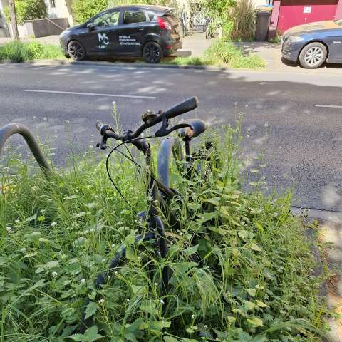 Bild zu gemeldetem Anliegen vom *2026-04-29 09:27:06