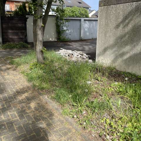 Bild zu gemeldetem Anliegen vom *2026-04-29 09:27:06