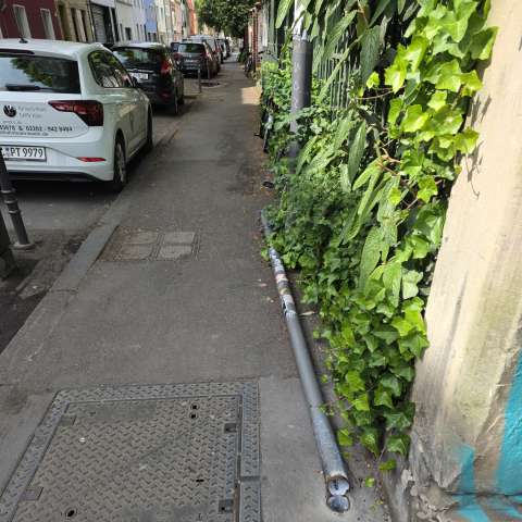 Bild zu gemeldetem Anliegen vom *2026-05-21 15:27:17