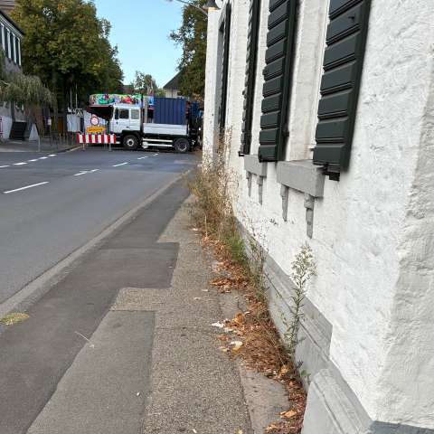 Bild zu gemeldetem Anliegen vom *2026-09-18 08:50:22