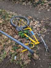 Bild zu gemeldetem Anliegen vom *2023-12-31 03:38:56