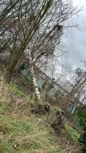 Bild zu gemeldetem Anliegen vom *2023-12-30 07:37:55