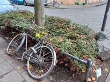 Bild zu gemeldetem Anliegen vom *2023-12-12 16:25:12