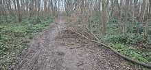 Bild zu gemeldetem Anliegen vom *2023-12-20 09:33:07