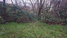Bild zu gemeldetem Anliegen vom *2023-12-14 14:18:36