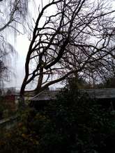 Bild zu gemeldetem Anliegen vom *2023-12-16 08:42:53