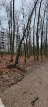 Bild zu gemeldetem Anliegen vom *2023-12-24 05:26:05