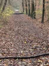 Bild zu gemeldetem Anliegen vom *2023-12-15 09:44:52