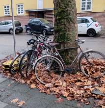 Bild zu gemeldetem Anliegen vom *2023-12-15 09:44:52