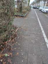 Bild zu gemeldetem Anliegen vom *2023-12-20 09:33:07