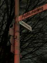 Bild zu gemeldetem Anliegen vom *2023-12-15 09:44:52