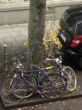 Bild zu gemeldetem Anliegen vom *2023-12-13 09:14:03