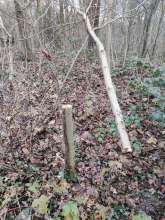 Bild zu gemeldetem Anliegen vom *2023-12-19 05:32:28