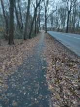 Bild zu gemeldetem Anliegen vom *2023-12-18 01:02:48