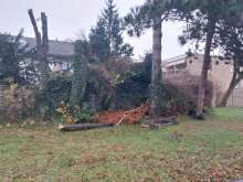 Bild zu gemeldetem Anliegen vom *2023-12-18 05:36:09