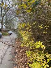 Bild zu gemeldetem Anliegen vom *2023-12-20 09:33:07