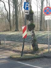 Bild zu gemeldetem Anliegen vom *2024-01-11 08:13:53