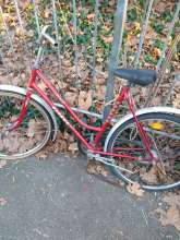 Bild zu gemeldetem Anliegen vom *2024-01-11 15:50:28