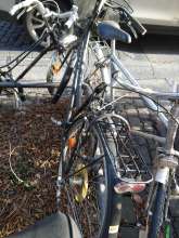 Bild zu gemeldetem Anliegen vom *2024-01-27 14:51:08