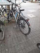 Bild zu gemeldetem Anliegen vom *2024-01-11 18:49:49