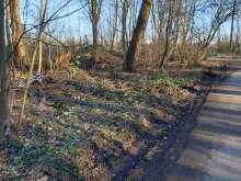 Bild zu gemeldetem Anliegen vom *2024-01-28 14:31:26