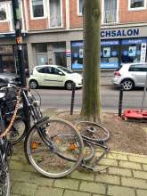 Bild zu gemeldetem Anliegen vom *2024-01-31 13:13:25