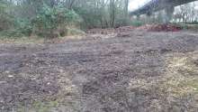 Bild zu gemeldetem Anliegen vom *2024-01-02 08:53:20