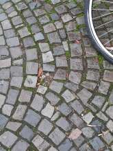 Bild zu gemeldetem Anliegen vom *2024-01-04 12:08:58