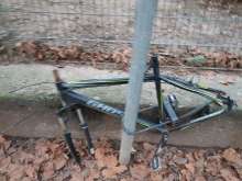 Bild zu gemeldetem Anliegen vom *2024-01-13 21:16:35