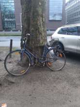 Bild zu gemeldetem Anliegen vom *2024-01-15 15:03:47