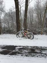 Bild zu gemeldetem Anliegen vom *2024-01-23 18:03:50