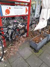 Bild zu gemeldetem Anliegen vom *2024-01-25 14:28:03