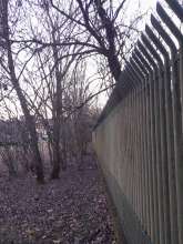 Bild zu gemeldetem Anliegen vom *2024-01-29 03:27:38