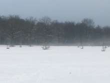 Bild zu gemeldetem Anliegen vom *2024-01-19 13:14:57
