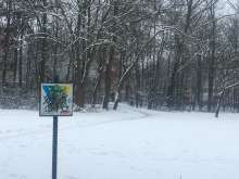 Bild zu gemeldetem Anliegen vom *2024-01-20 03:25:41