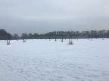 Bild zu gemeldetem Anliegen vom *2024-01-19 12:38:32