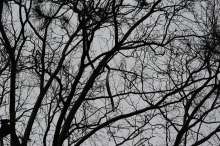 Bild zu gemeldetem Anliegen vom *2024-01-02 11:52:19