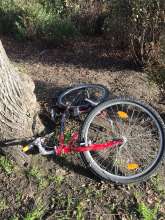 Bild zu gemeldetem Anliegen vom *2024-01-23 13:29:53